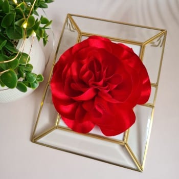 brosa tip floare rosie